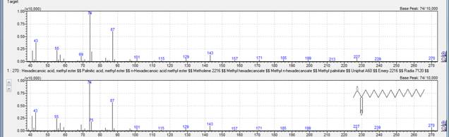 说明: Macintosh HD:Users:d:Downloads:Biodiesel V-Oil:First Peak.png